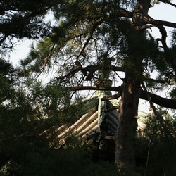 2010-10 China/Beijing/DSC01961.JPG